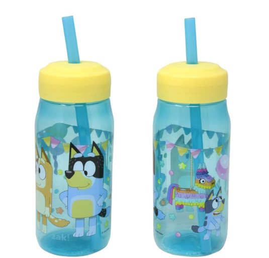 Bluey Water Bottle With Straw- Set Of Two